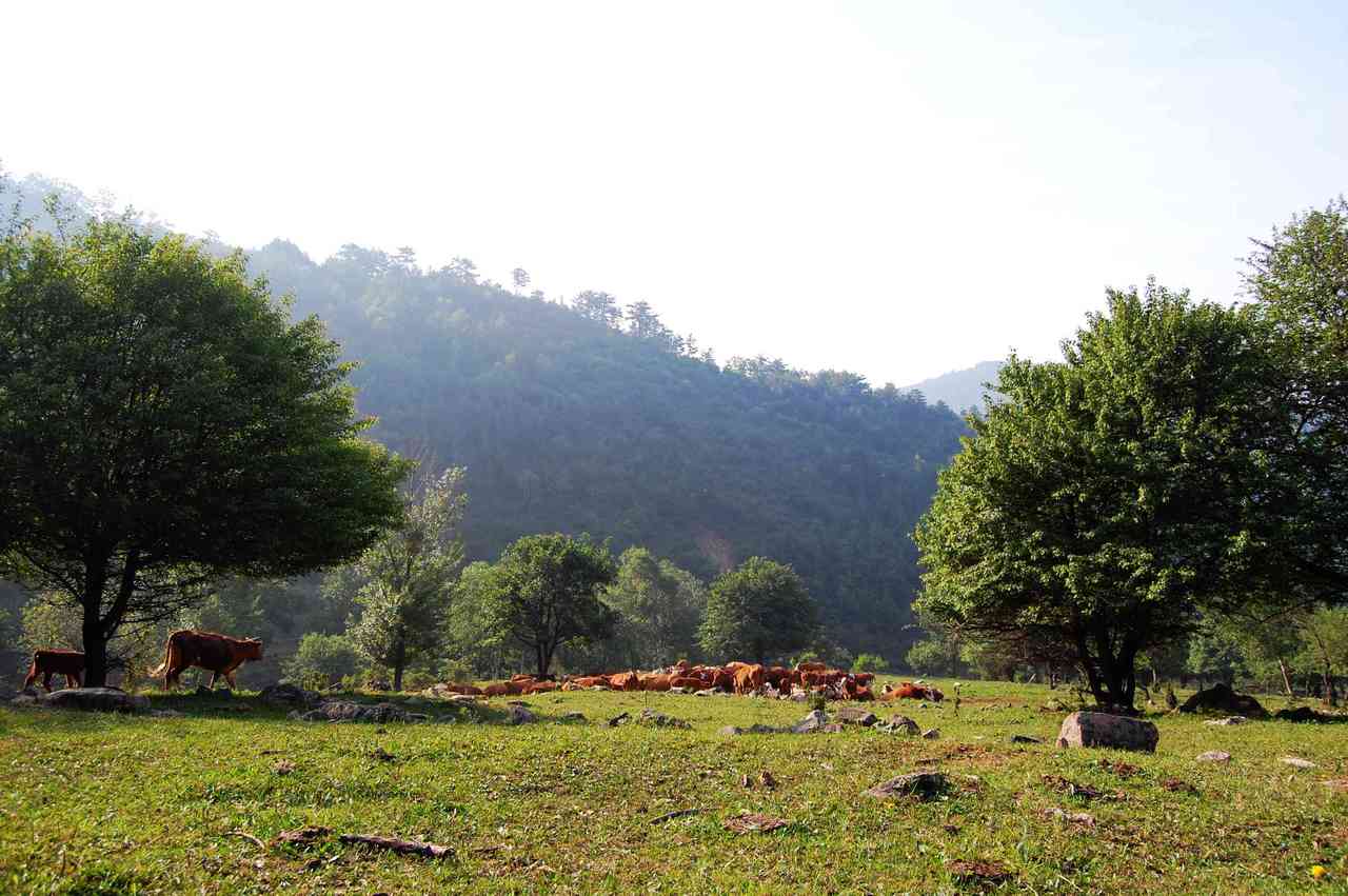 興唐寺風景區(興唐寺（景區）)