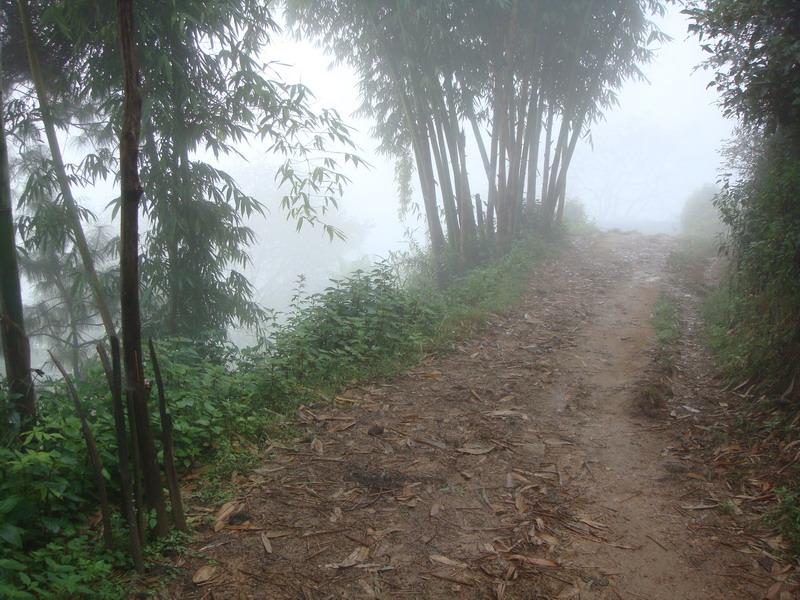 竹笆山自然村內土路