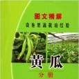 圖文精解設施果蔬栽培經驗：黃瓜分冊