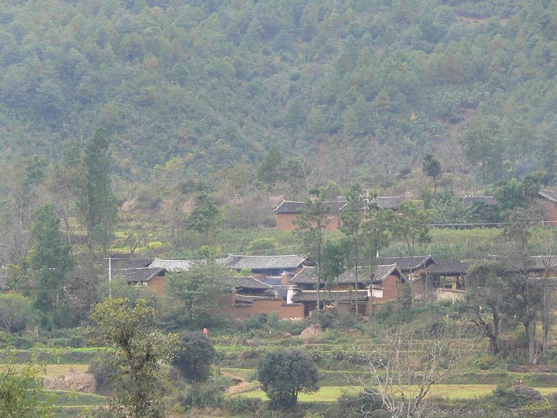 上箐村(雲南怒江蘭坪縣啦井鎮下轄村)