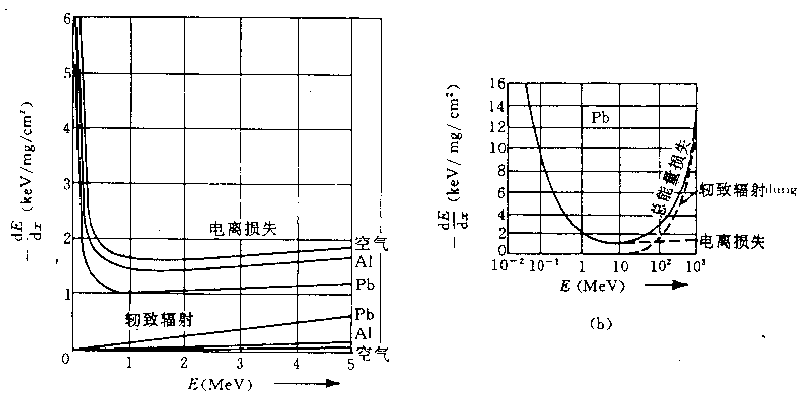 電子的輻射損失和電離損失