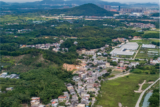 大塘村(廣東省中山市南朗街道下轄村)