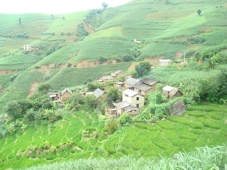 背陰寨村