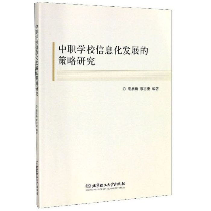 中職學校信息化發展的策略研究