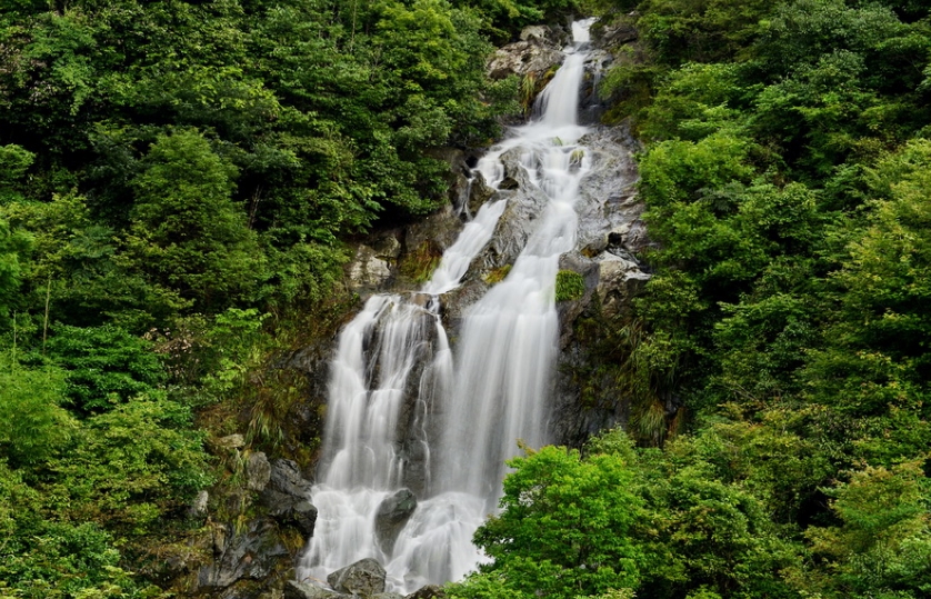 安徽太湖九井溪森林公園