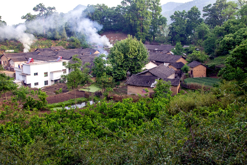 果子園村(安徽金寨縣果子園鄉下轄村)