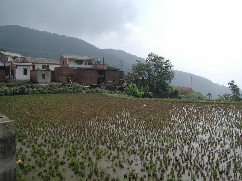 烏梅村