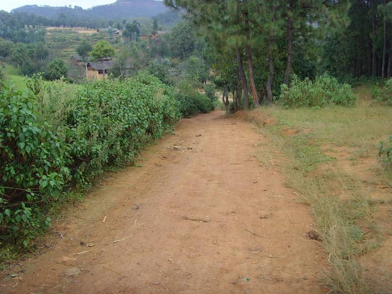 進村道路