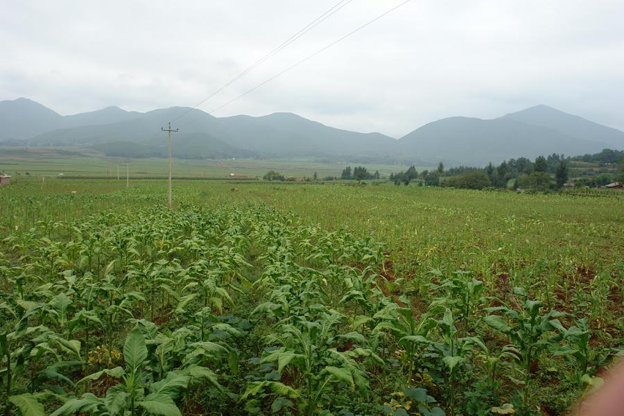 矣堵幸福村