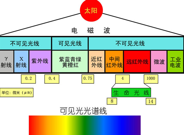 空間分辨光譜