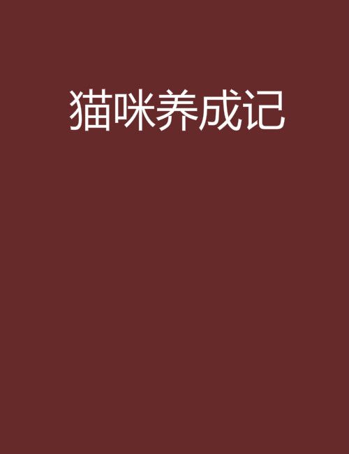 貓咪養成記