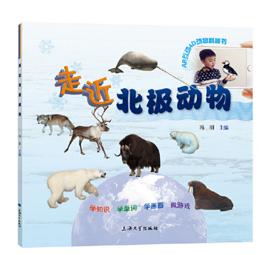 走近北極動物