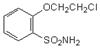 鄰氯乙氧基苯磺醯胺