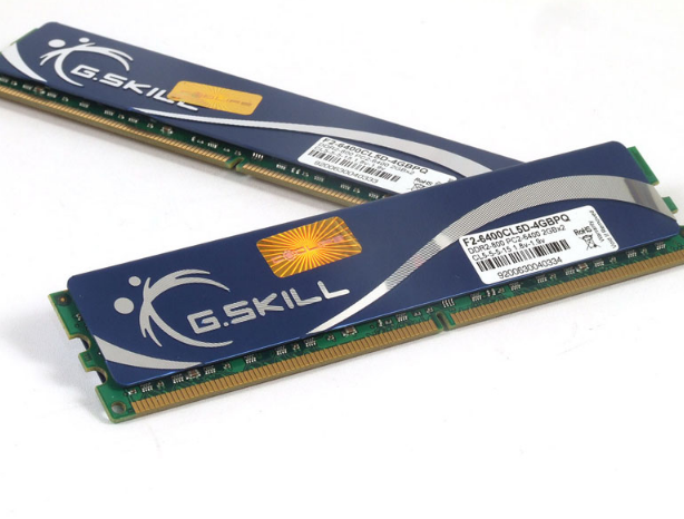 芝奇4GB DDR2 800(F2-6400CL5D-4GBPQ)