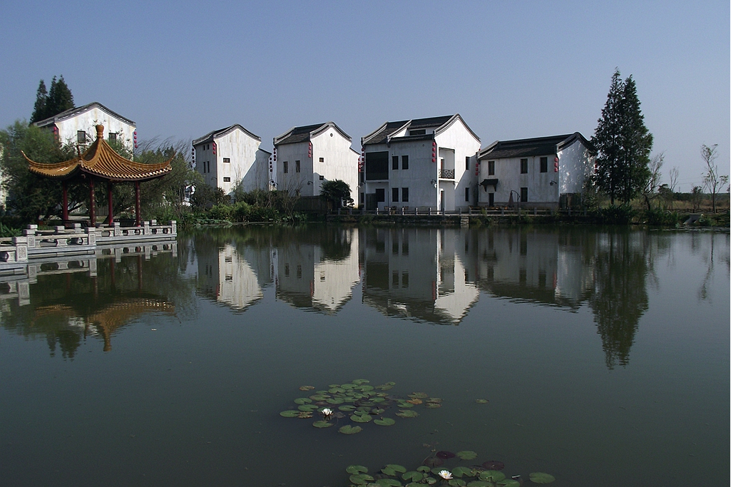 楊柳村(江西省上饒市廣豐區嵩峰鄉楊柳村)