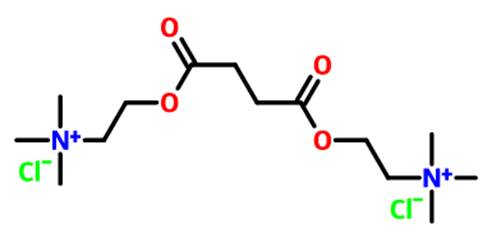 氯化琥珀膽鹼