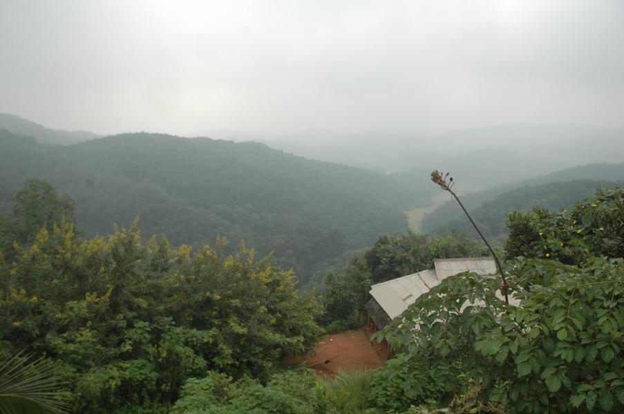 橡膠產業