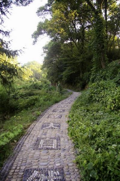 江西省駱駝山森林公園