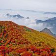 歷山(山西省境內山)