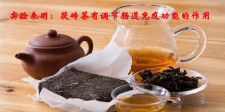 益陽茯茶