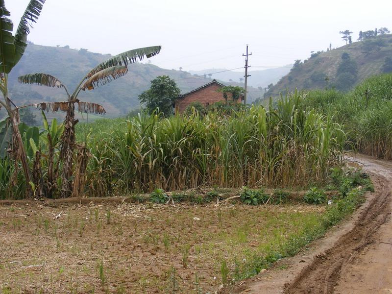 老對河村