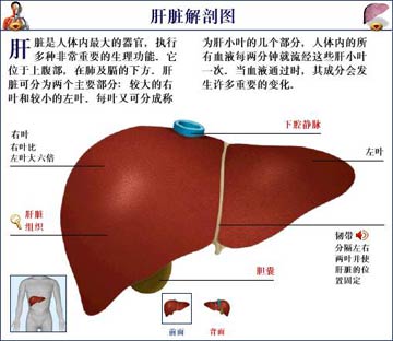 過敏出現肝炎