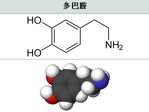 多巴胺