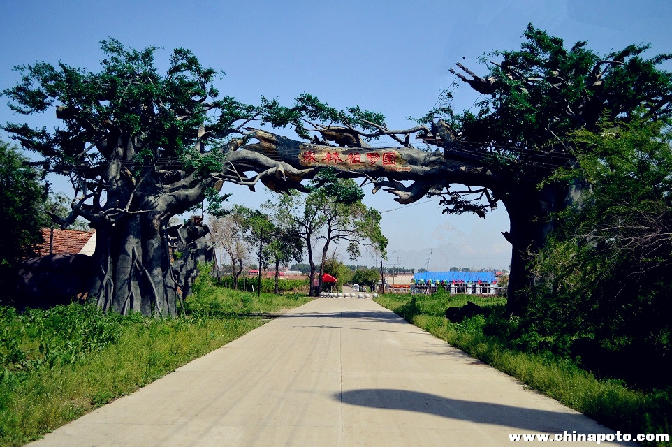綏化森林植物園