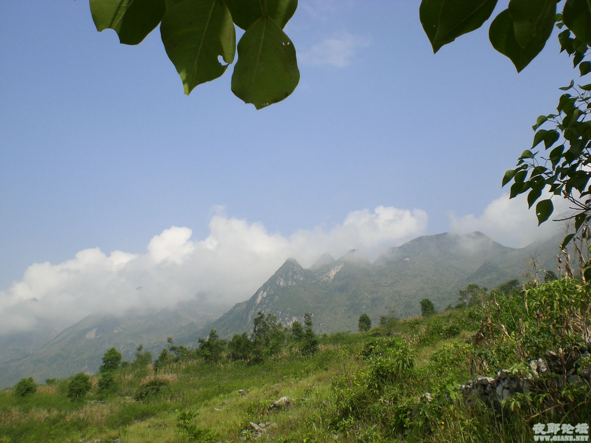 都格北盤江景區