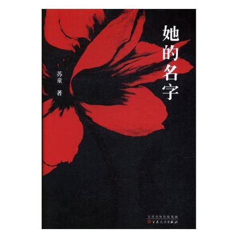 她的名字(2017年百花文藝出版社出版的圖書)