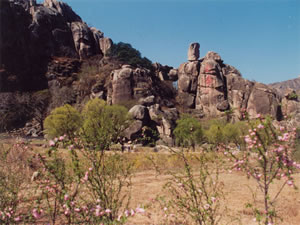 長壽山國家森林公園