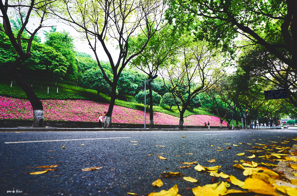 中山四路(重慶中山四路)