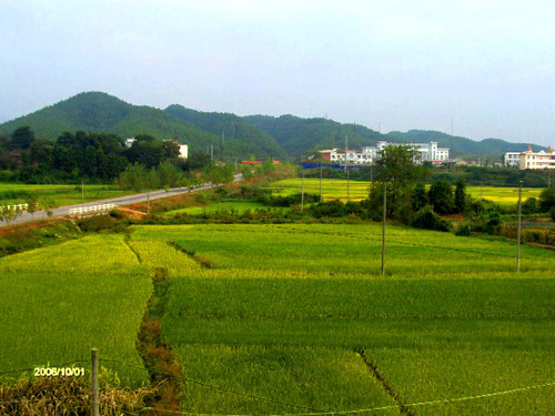 宜春市宜豐縣芳溪中學