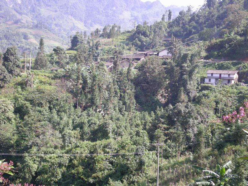 馬草沖村