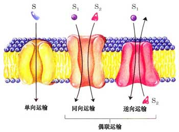 運輸