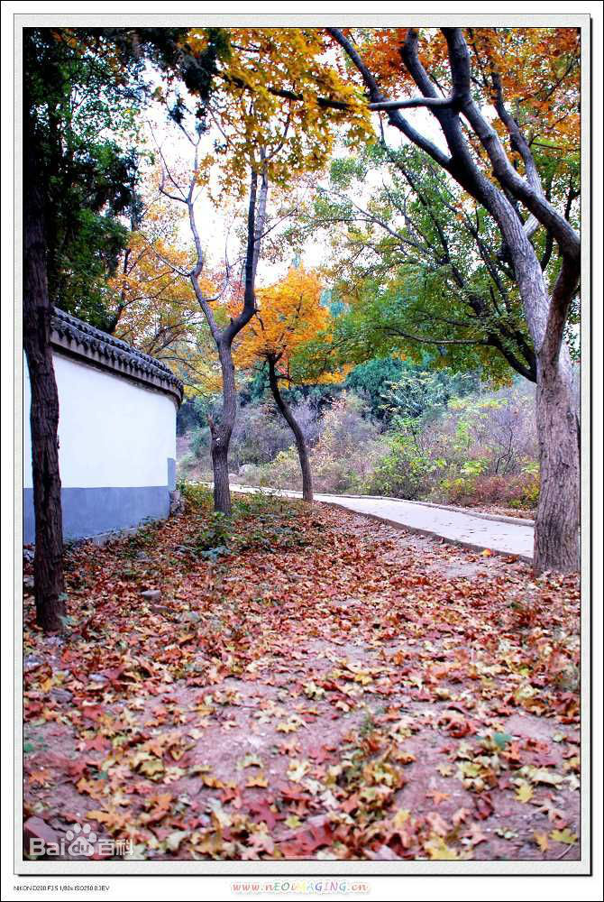 山城區(鶴壁市山城區)