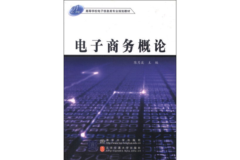 電子商務概論(2004年清華大學出版社出版的圖書)
