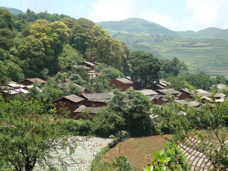 紅岩子村(華寧縣寧州鎮舍木多村民委員會下轄村)