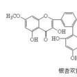 銀杏素