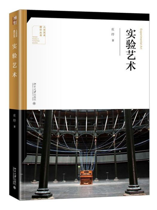 實驗藝術(2022年北京大學出版社出版的圖書)