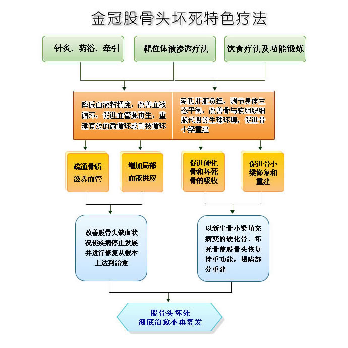 靶位體液滲透療法在股骨頭壞死治療上的套用