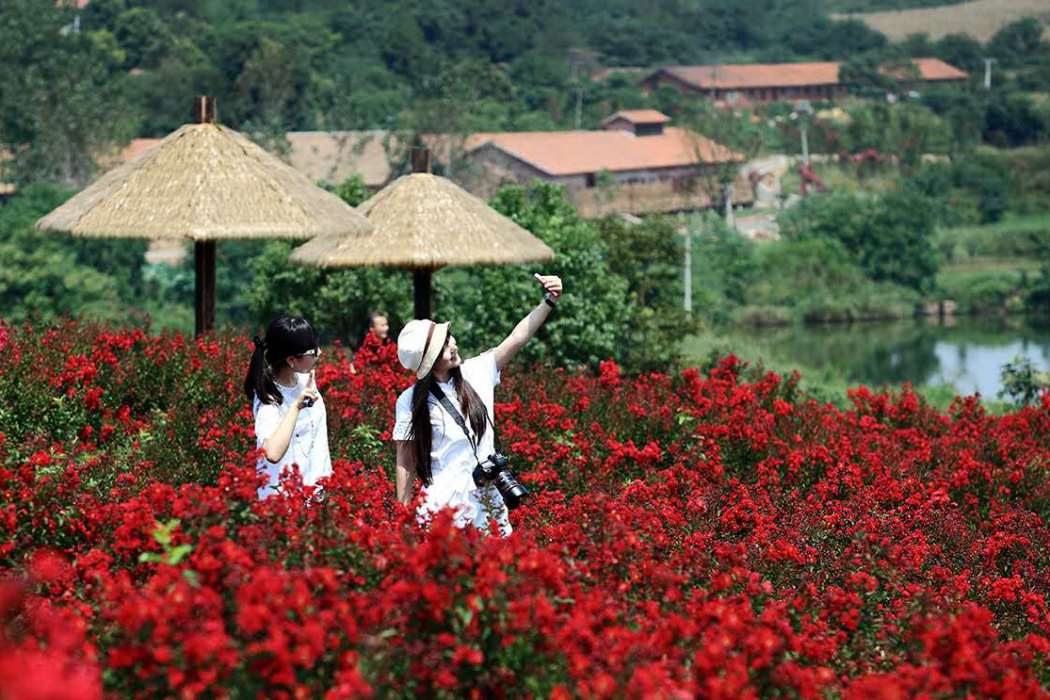 萬紫千紅植物園