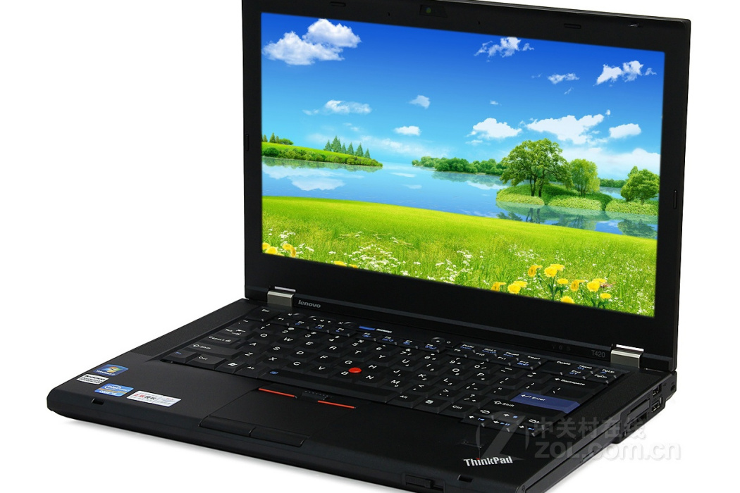 ThinkPad T420(4180J4C)