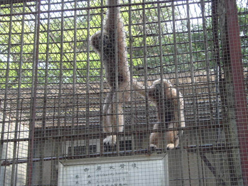 保定市動物園