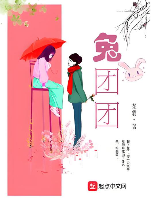 兔團團(茶霸著網路小說)