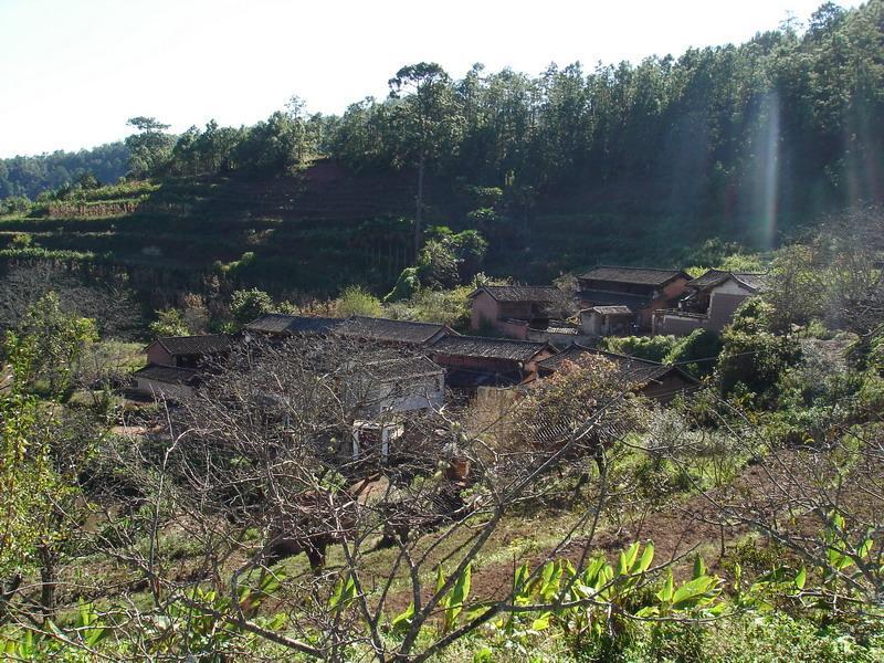 母掌下排村