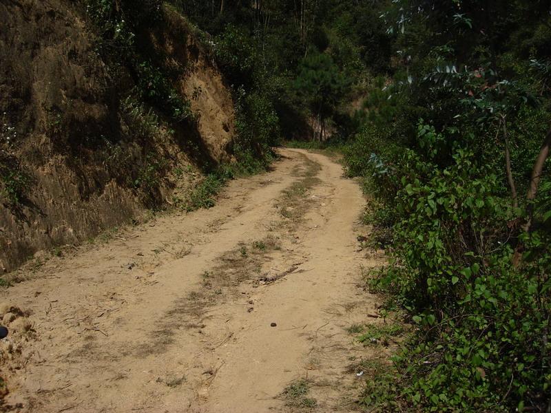 雲南省雲縣茶房鄉黑樹林村進村道路