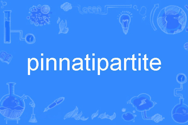 pinnatipartite