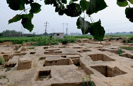 河南新鄭胡莊墓地