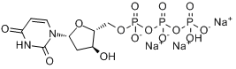 2\x27-脫氧尿苷-5\x27-三磷酸三鈉鹽